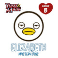 Elizabeth Mystery Pins - Group [B]